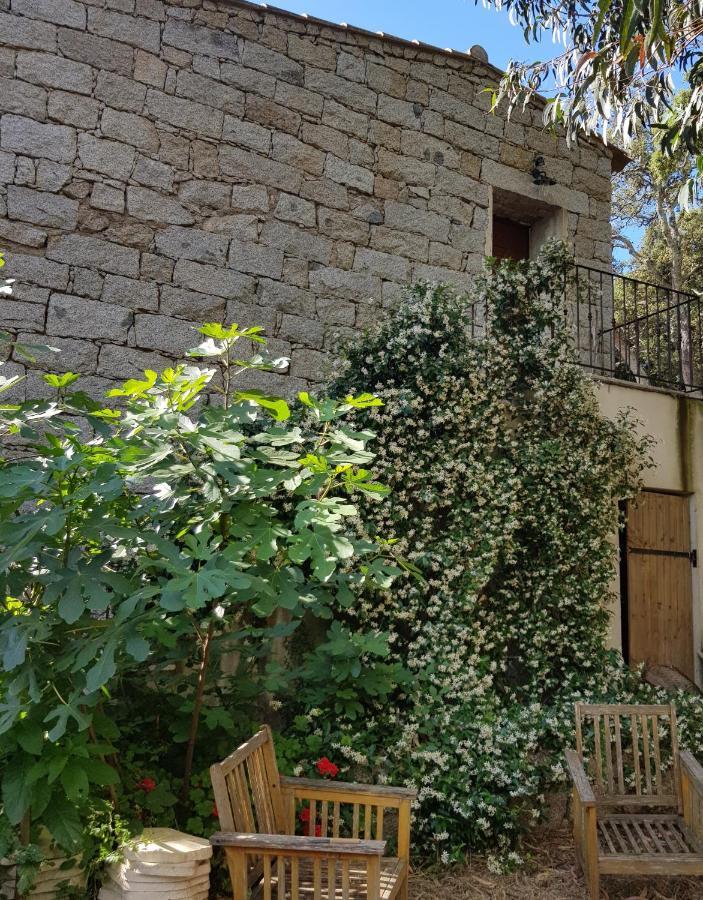 Chambres D'Hotes Barraconu Porto-Vecchio  Eksteriør bilde